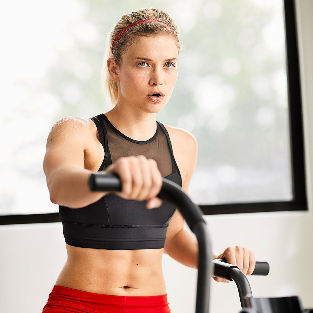 Connectivity & Training