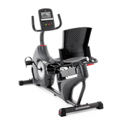 230 Recumbent Bike