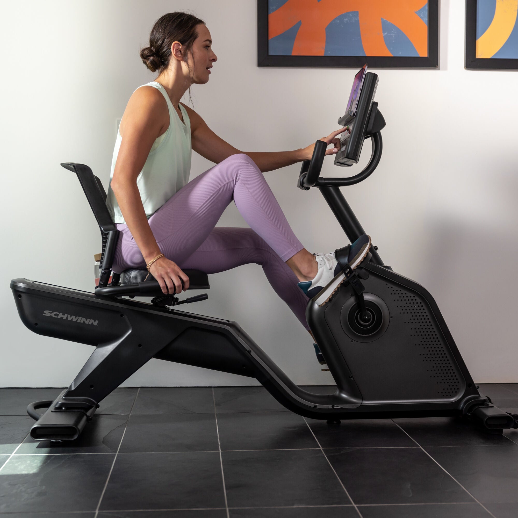 Schwinn 290 Recumbent Bike Schwinn 290 Recumbent Bike