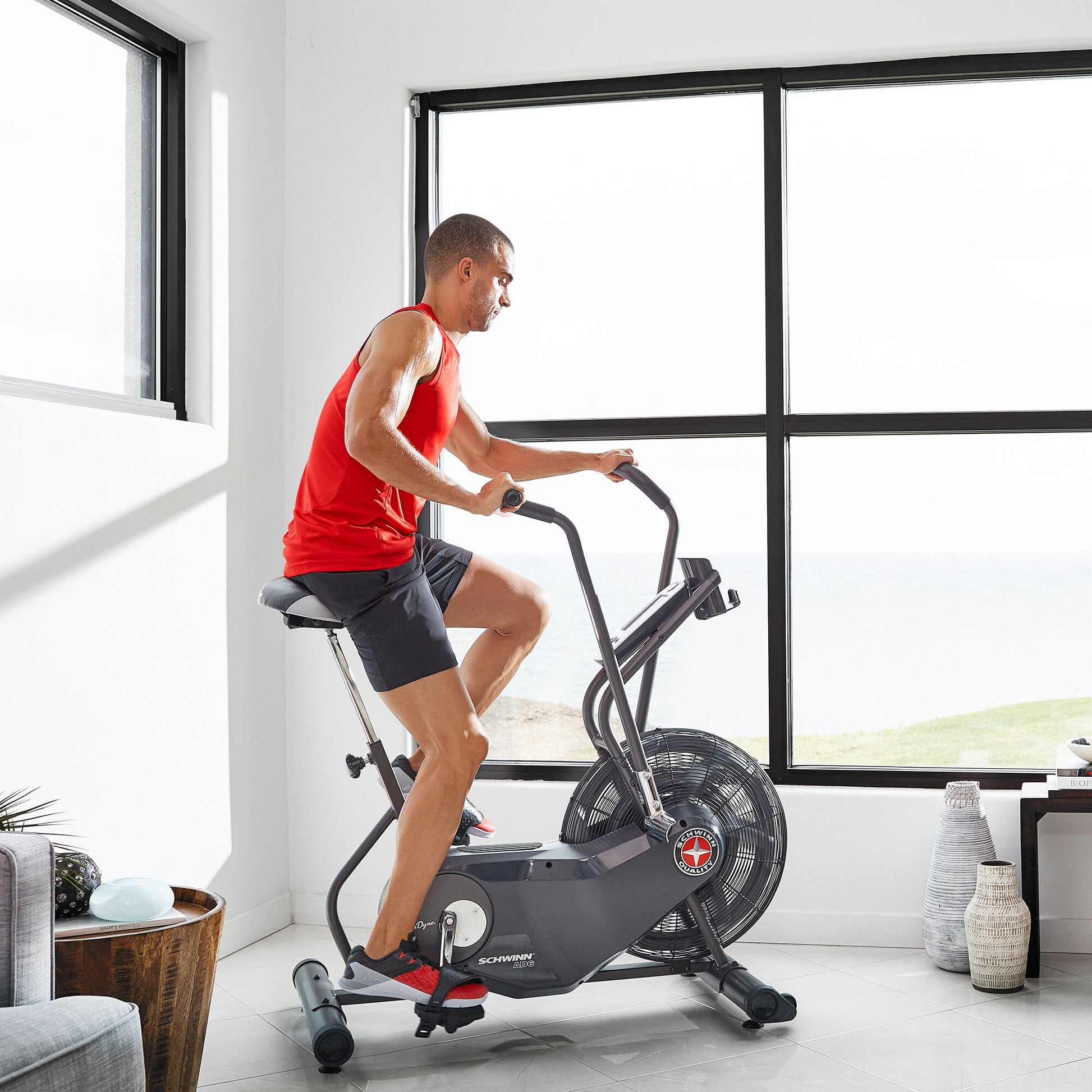 Schwinn AD6 Airdyne Exercise Bike