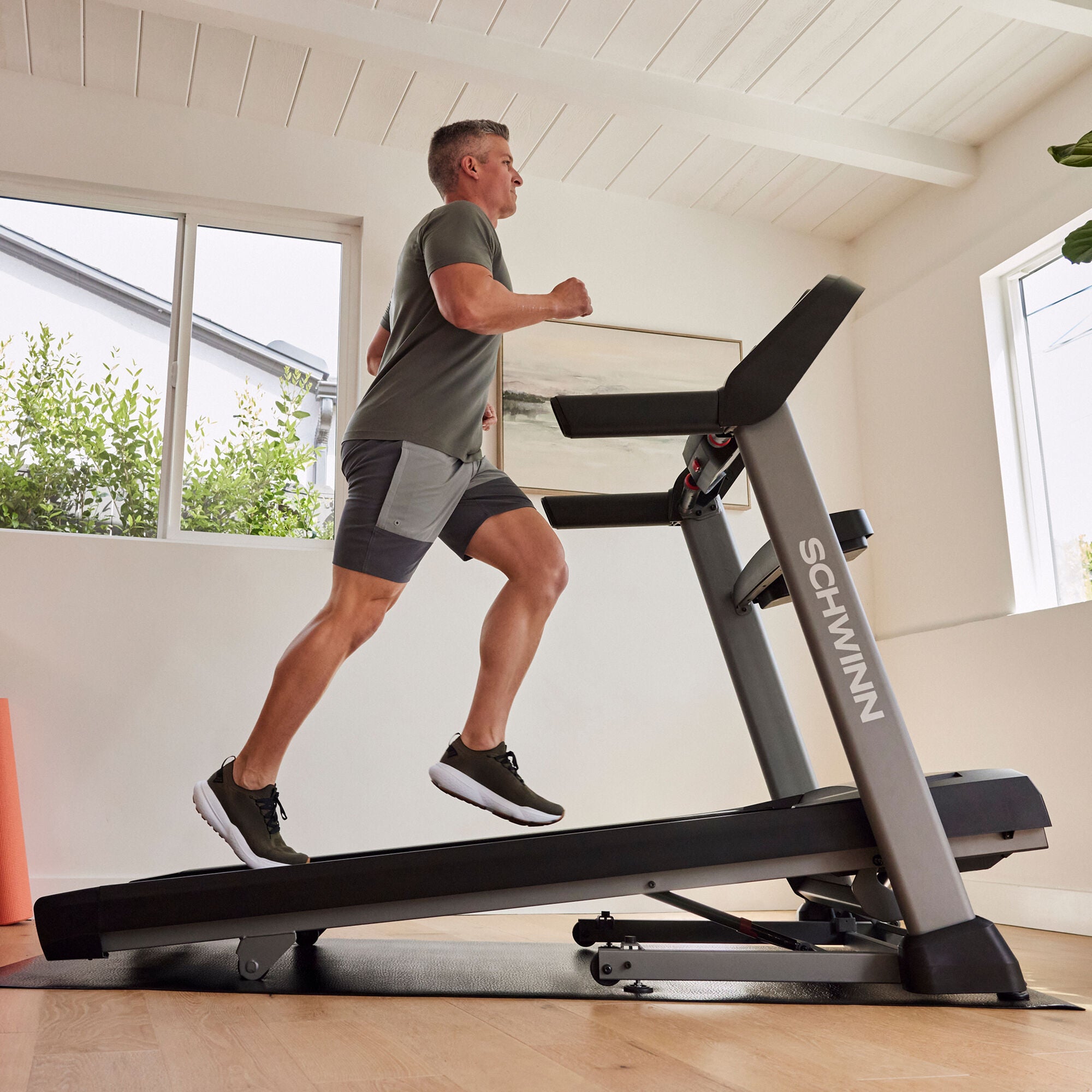Schwinn 815 Treadmill In-Home