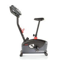 Schwinn A10 Upright Bike--thumbnail