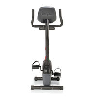 Schwinn A10 Upright Bike--thumbnail