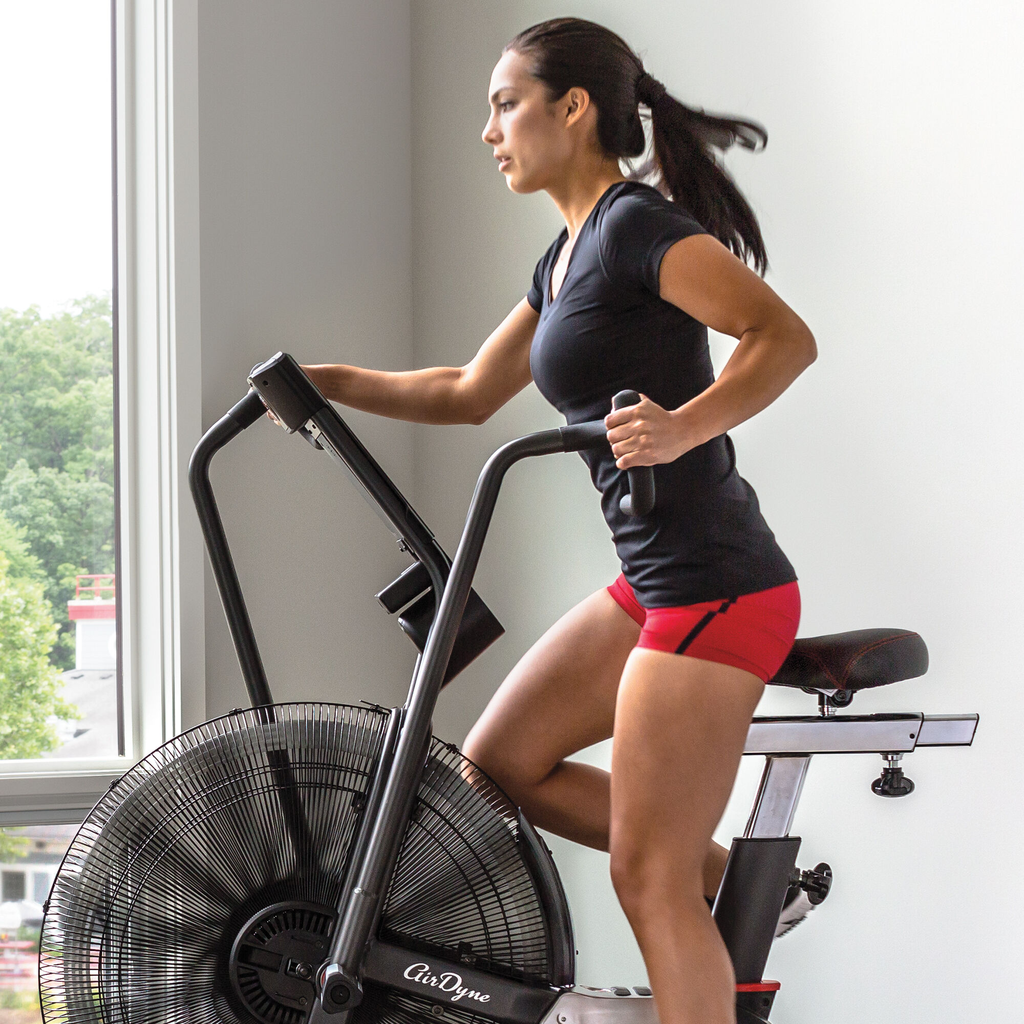 Schwinn ad7 airdyne 2025 exercise bike