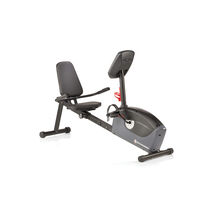 Schwinn A20 Recumbent Bike--thumbnail