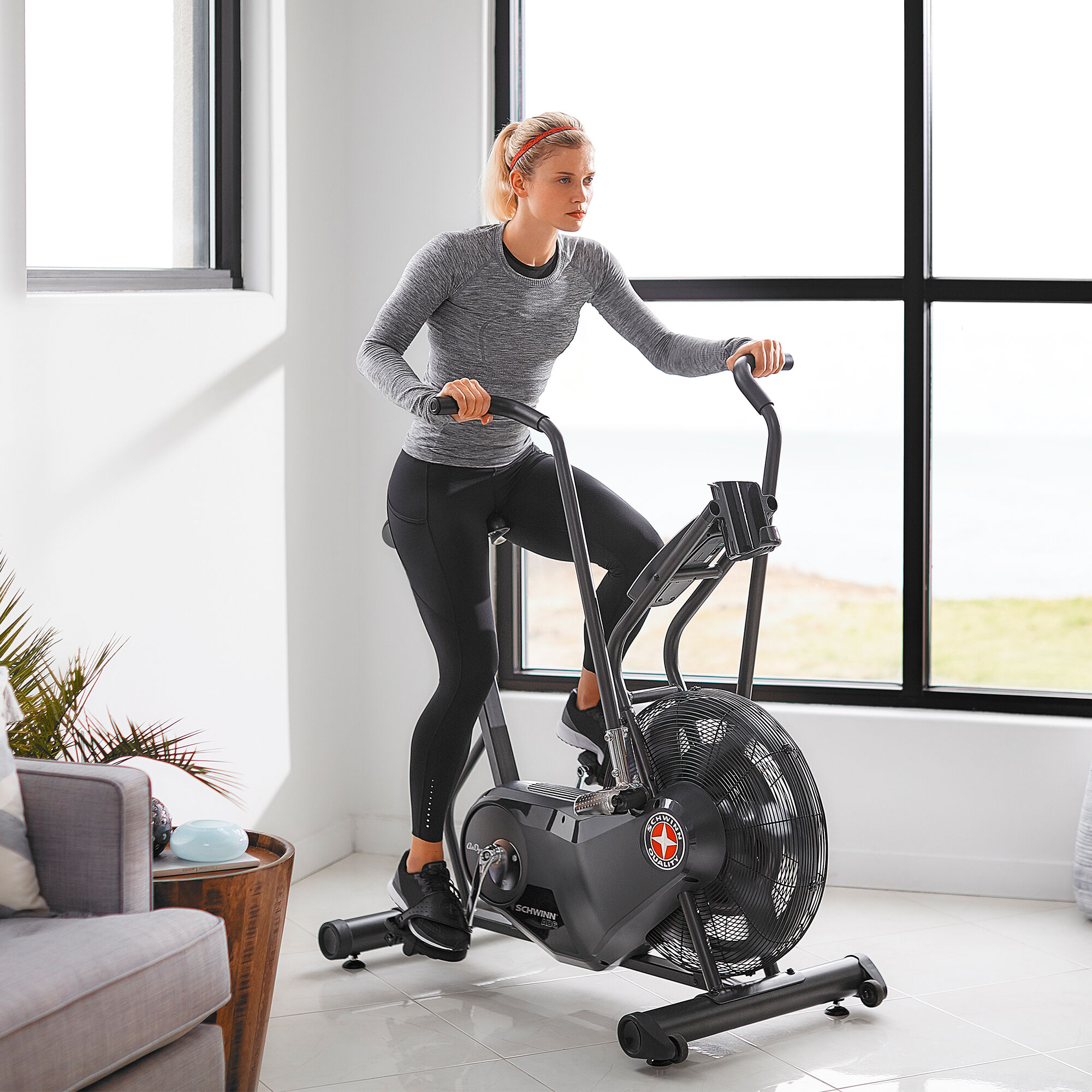 Schwinn ad6 airdyne hot sale bike