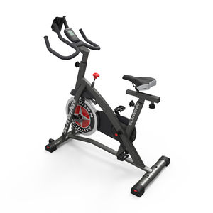 schwinn ic3 indoor bike