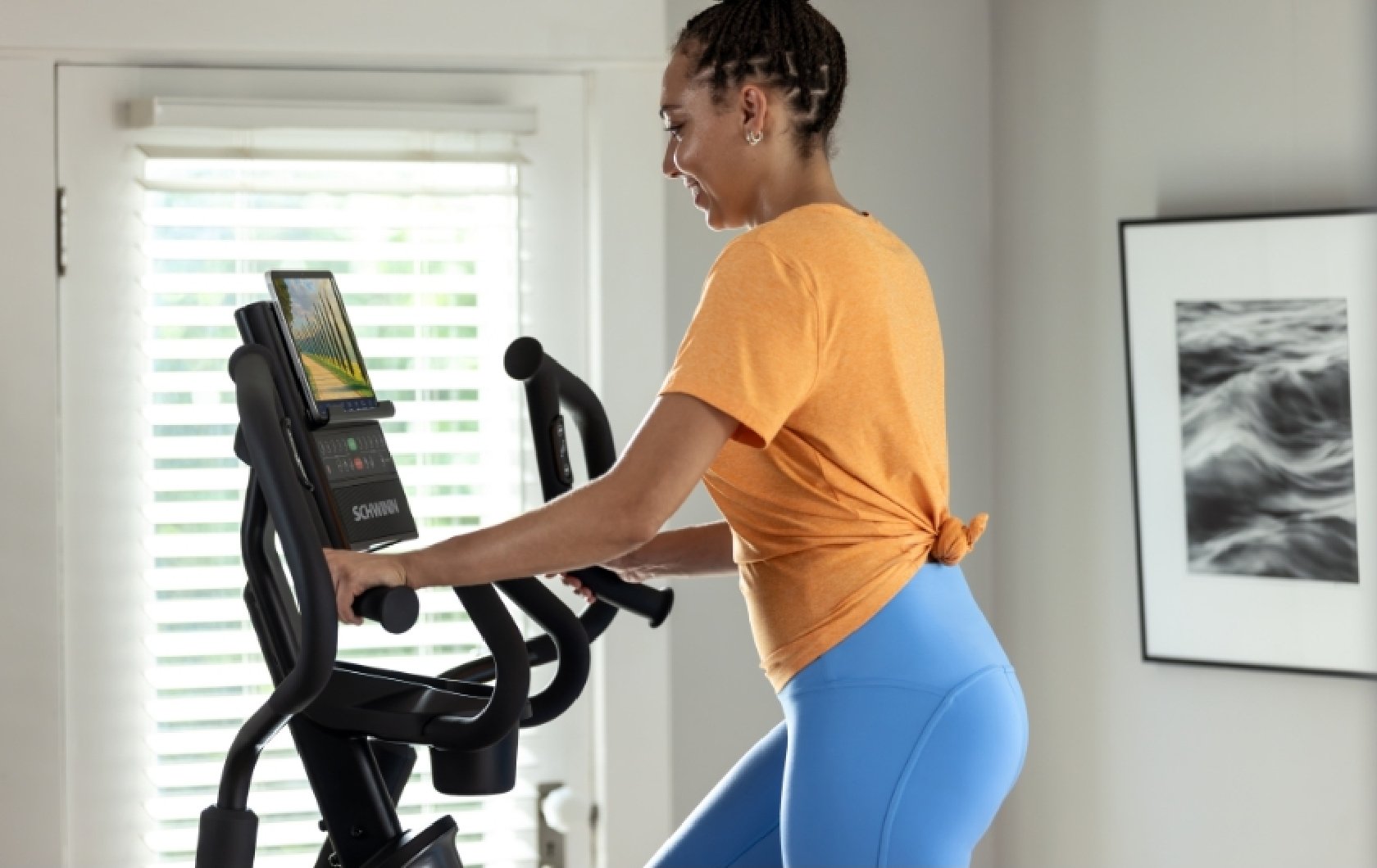Schwinn 490 Elliptical Schwinn