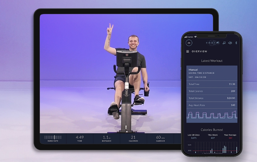 Schwinn 290 Recumbent Bike